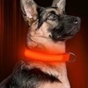 LED light up adjustable glow in the dark dog collar red size medium